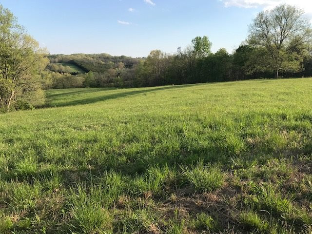 0 Drift Run Road Mount Olivet, KY 41064 - Photo 13 of 30 Gallery Image 13
