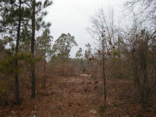 0 Fairwind Road Windsor, SC 29856 - Photo 1 of 1