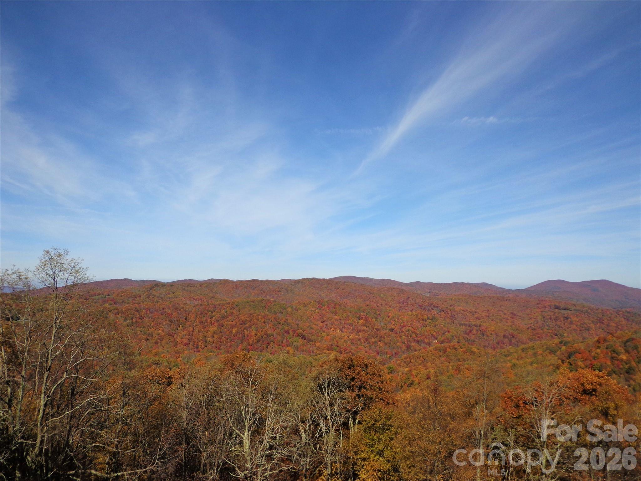 1050 Turkey Trot Road Clyde, NC 28721 - Photo 17 of 22