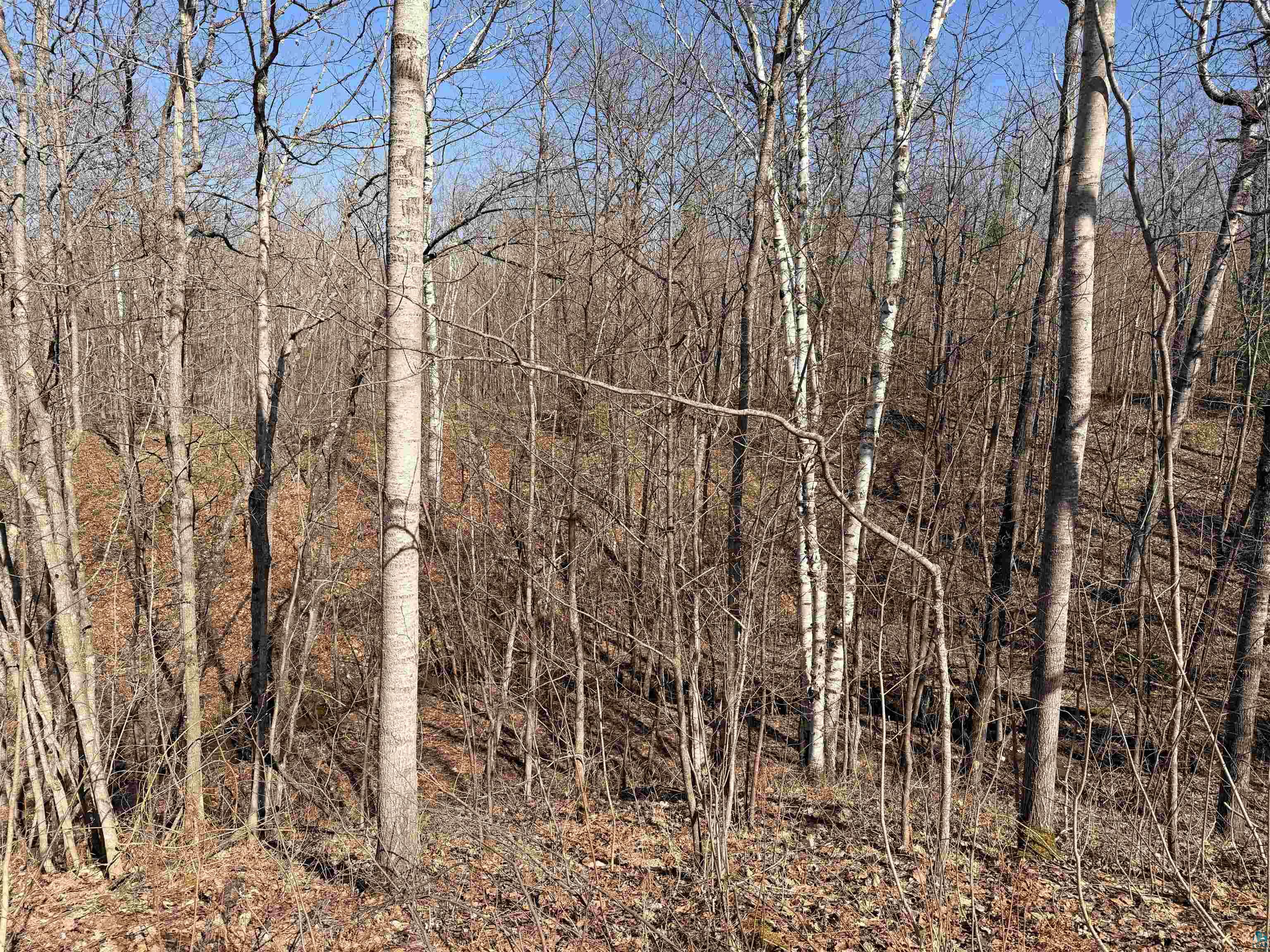 90-xxx Lamont Road Bayfield, WI 54814 - Photo 6 of 9