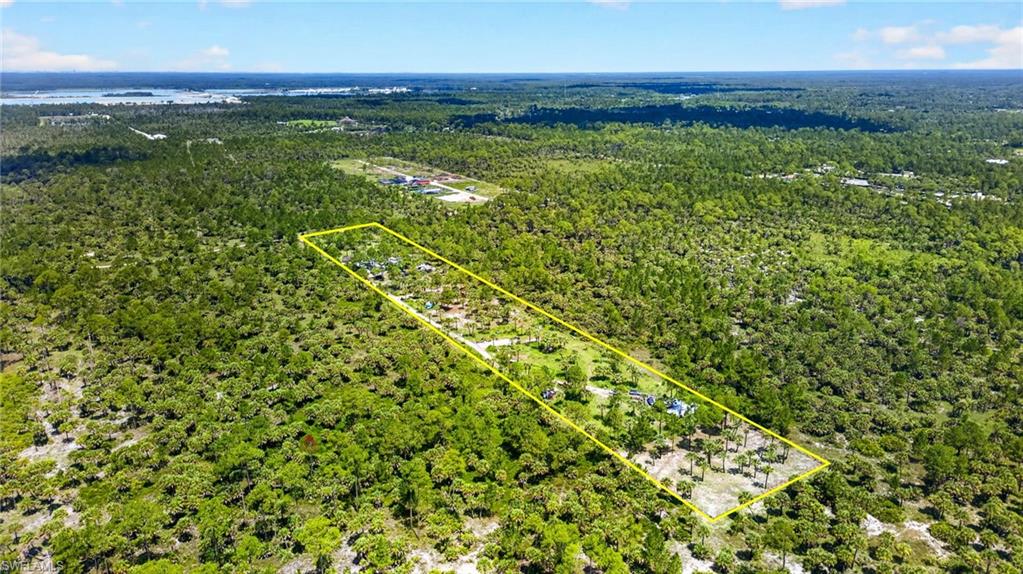 Naples Fl Naples Way Naples, FL 34117 - Photo 11 of 12 Expansive parcel featuring a perimeter highlighted by a yellow outline, surrounded by dense natural foliage