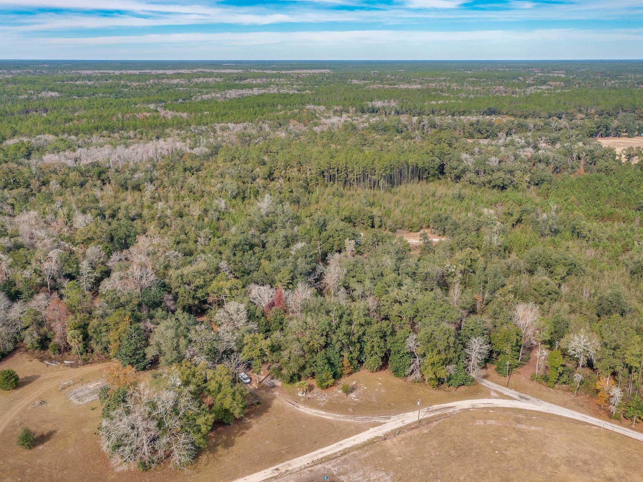 Xxx Roland Harvey Road Crawfordville, FL 32327 - Photo 1 of 22 Gallery Image 1