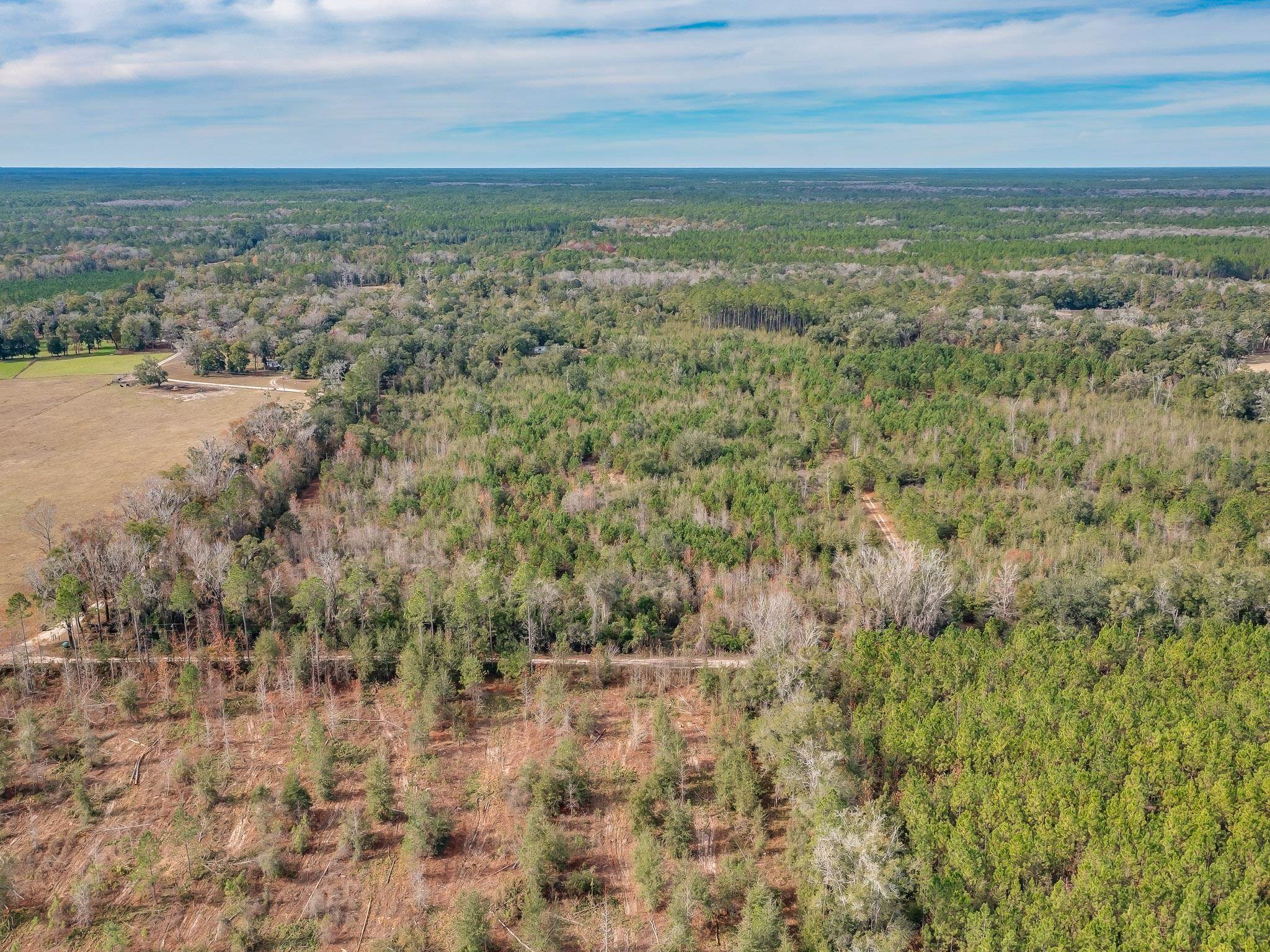 Xxx Roland Harvey Road Crawfordville, FL 32327 - Photo 11 of 22 Gallery Image 11