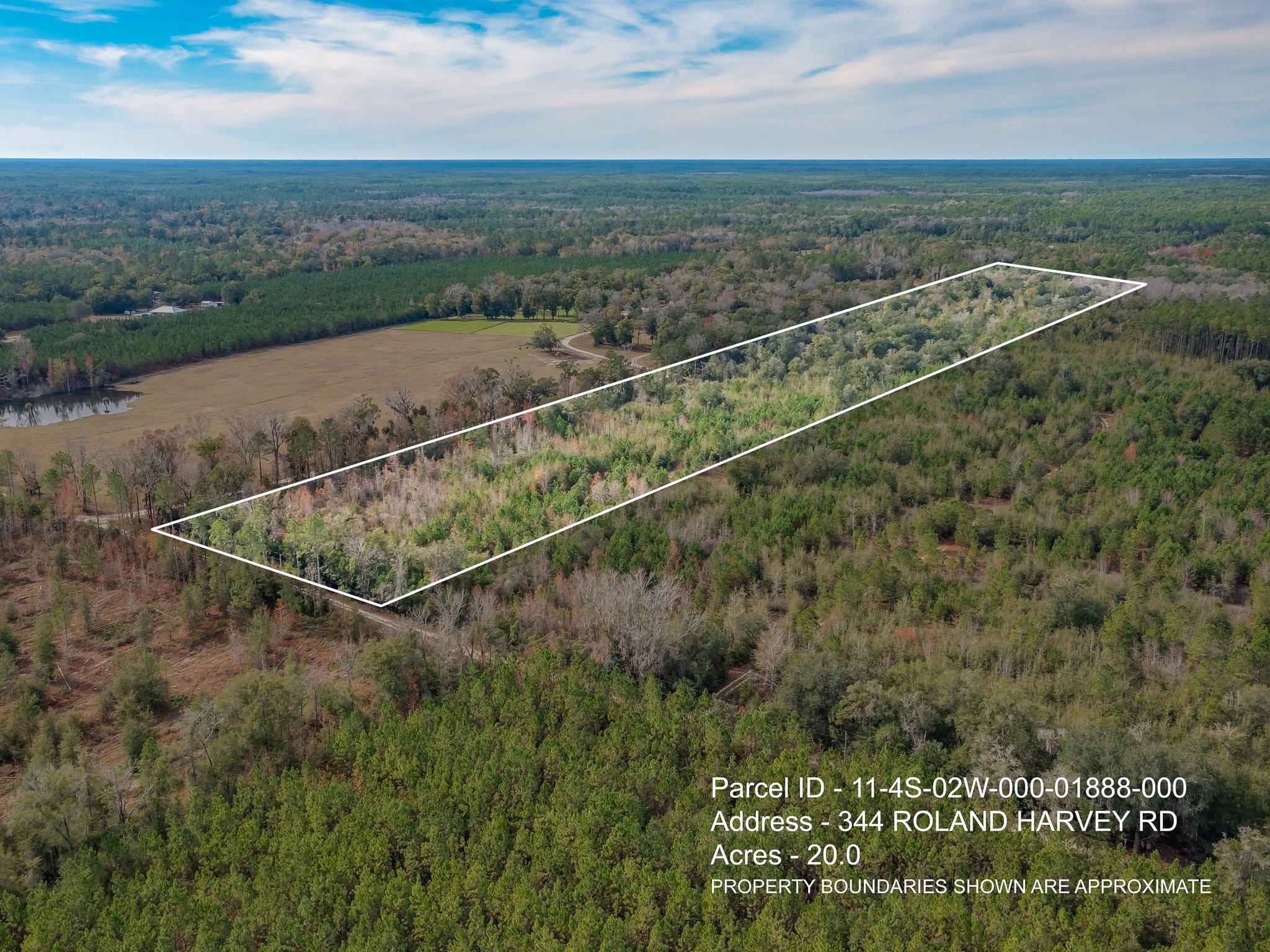 Xxx Roland Harvey Road Crawfordville, FL 32327 - Photo 12 of 22 Gallery Image 12