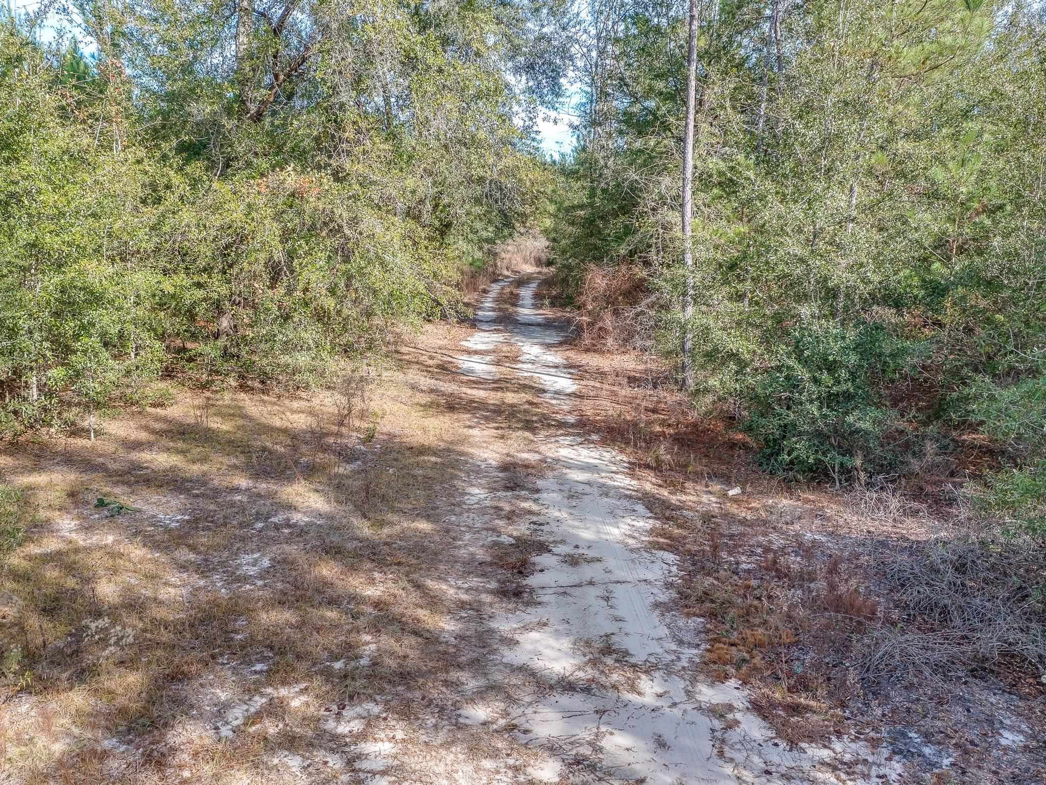 Xxx Roland Harvey Road Crawfordville, FL 32327 - Photo 14 of 22 Gallery Image 14