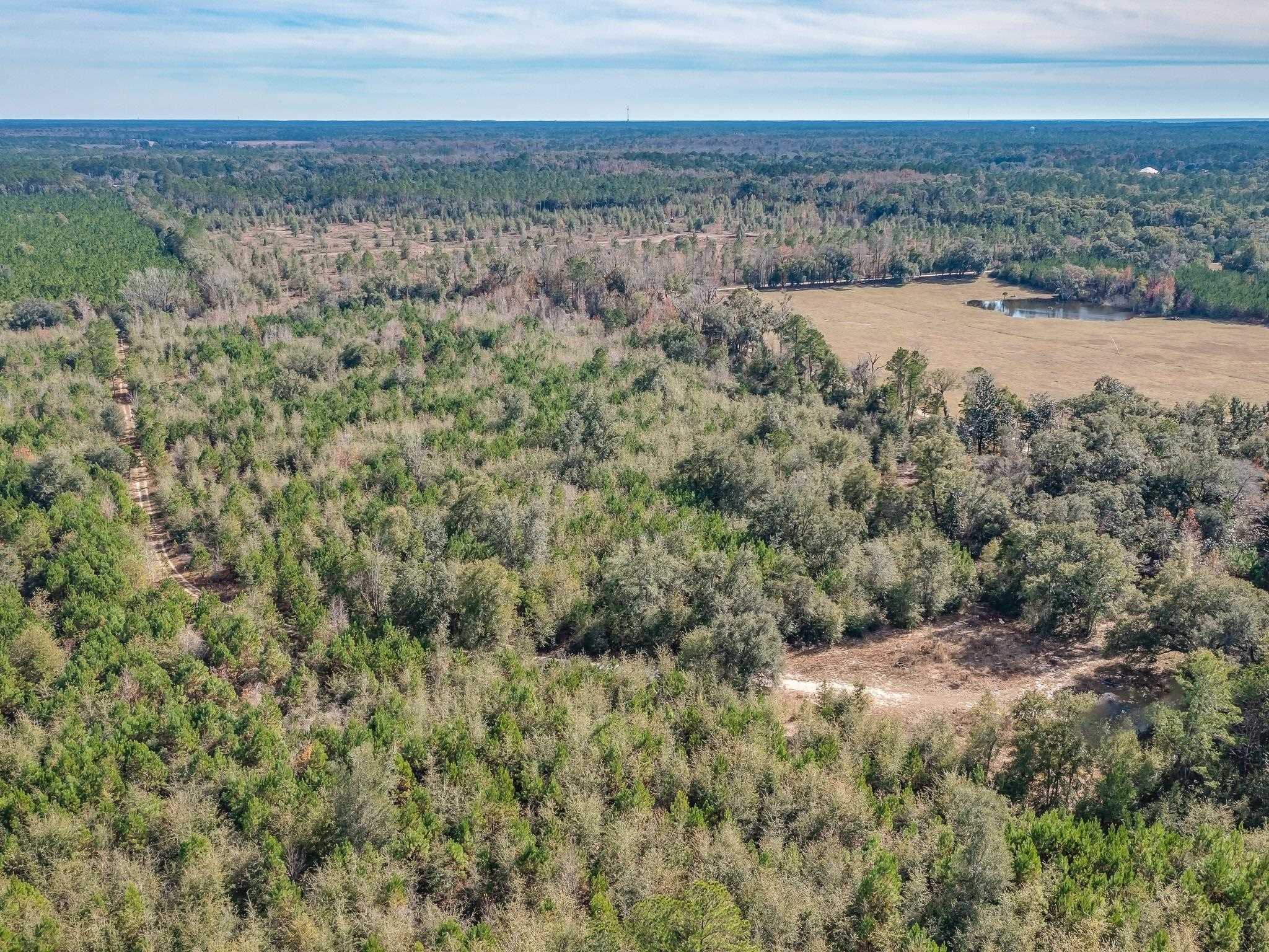 Xxx Roland Harvey Road Crawfordville, FL 32327 - Photo 15 of 22 Gallery Image 15