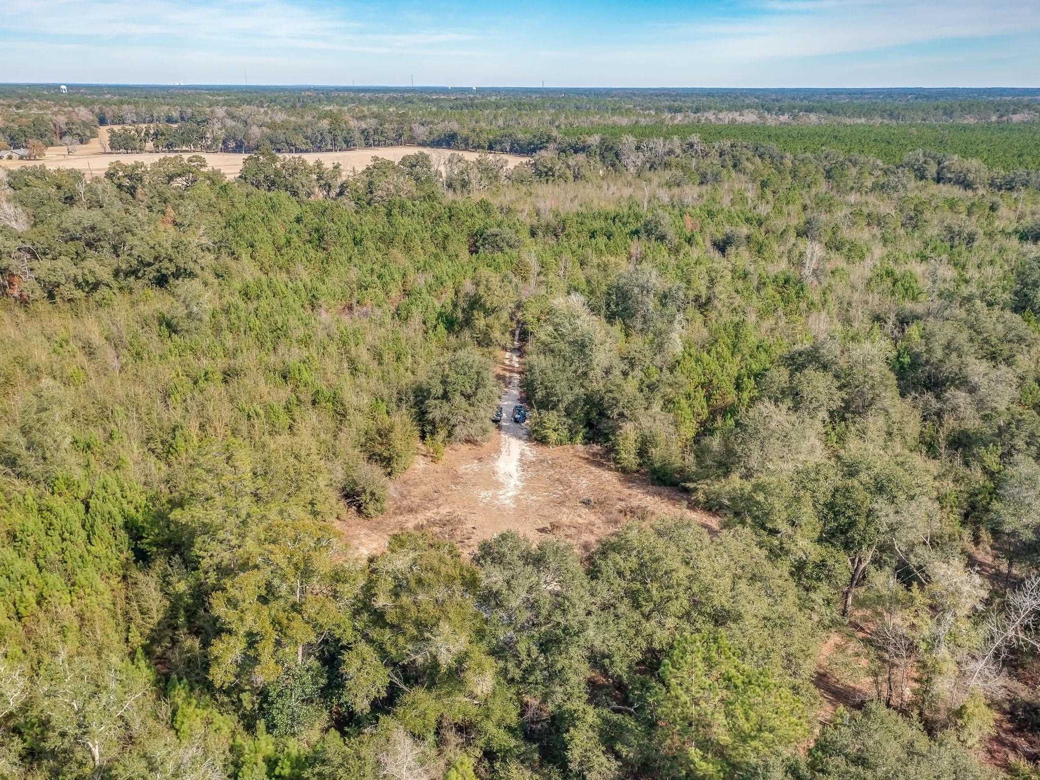 Xxx Roland Harvey Road Crawfordville, FL 32327 - Photo 17 of 22 Gallery Image 17