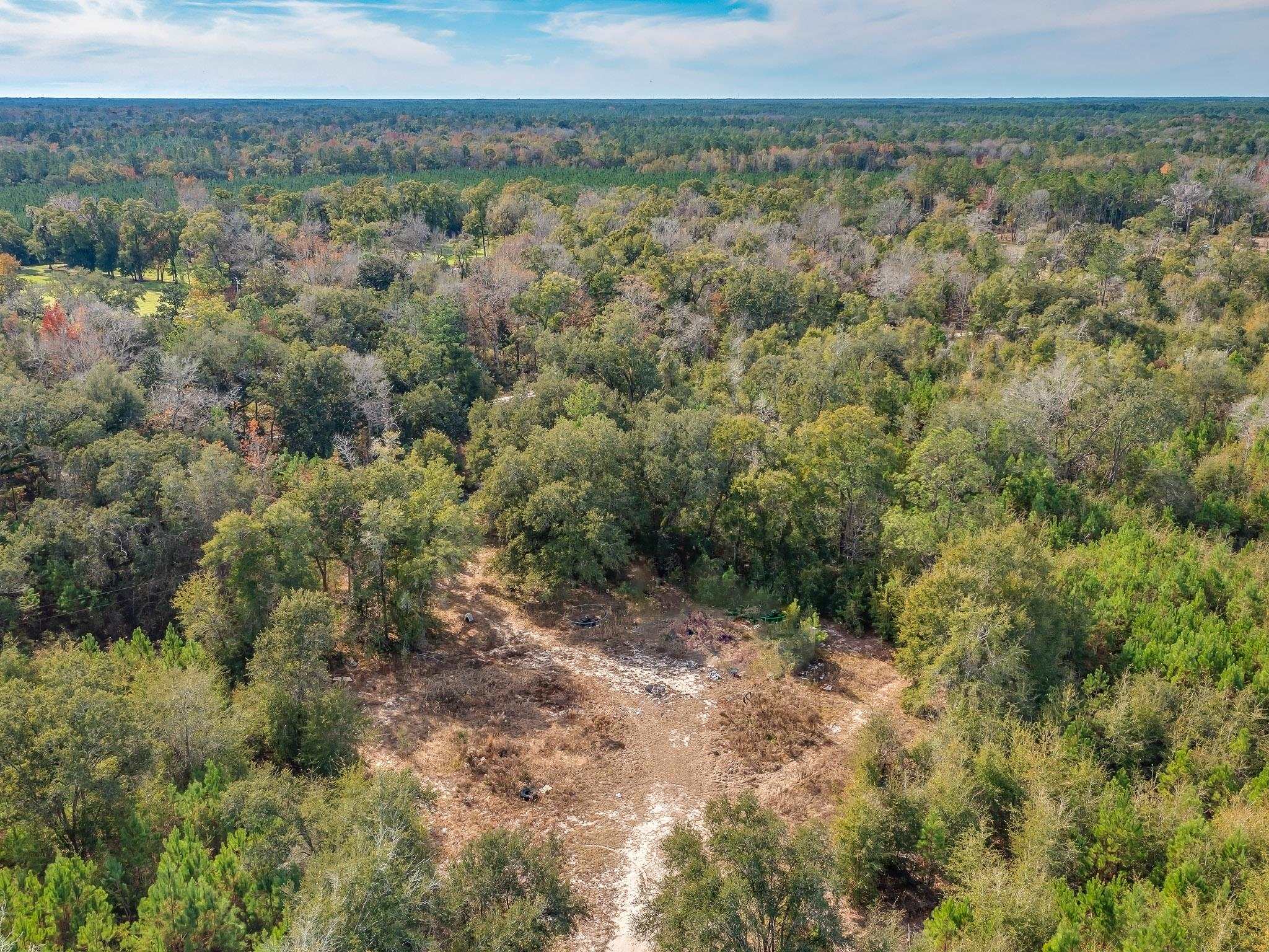 Xxx Roland Harvey Road Crawfordville, FL 32327 - Photo 18 of 22 Gallery Image 18