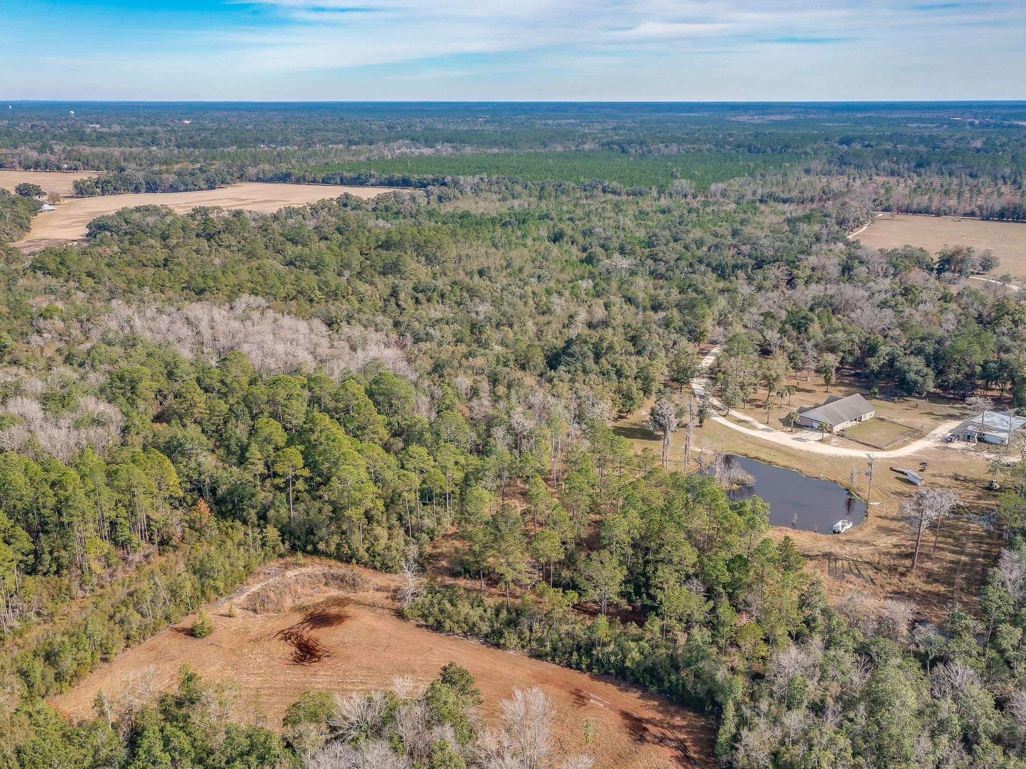 Xxx Roland Harvey Road Crawfordville, FL 32327 - Photo 19 of 22 Gallery Image 19