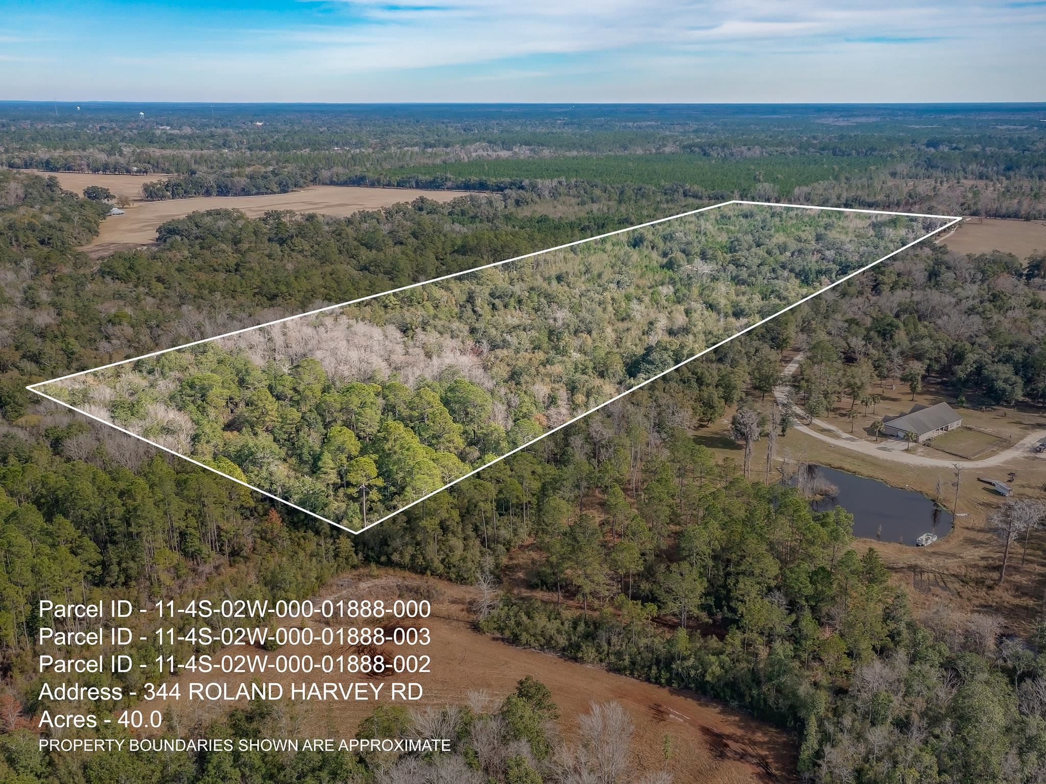 Xxx Roland Harvey Road Crawfordville, FL 32327 - Photo 20 of 22 Gallery Image 20