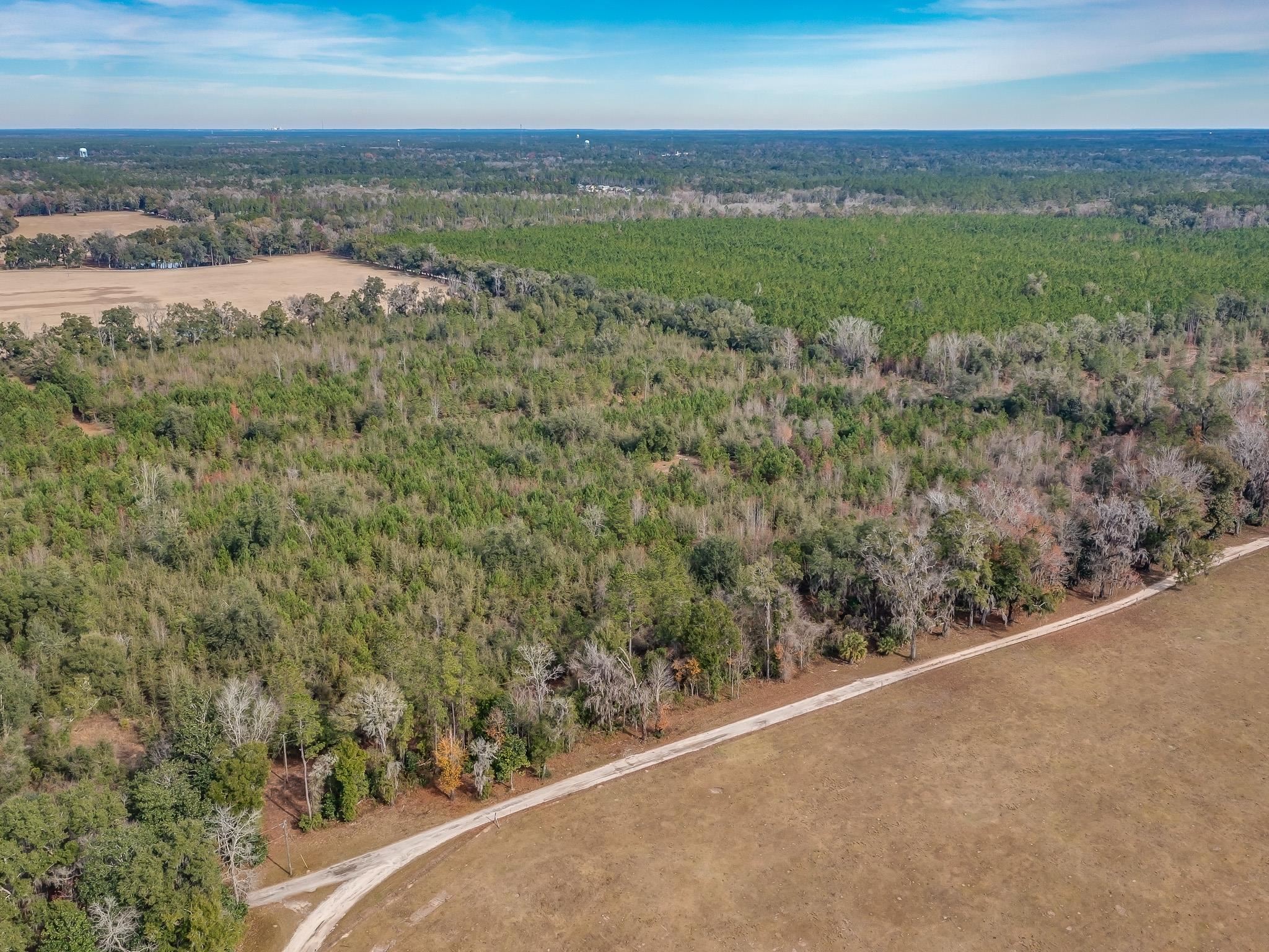 Xxx Roland Harvey Road Crawfordville, FL 32327 - Photo 2 of 22 Gallery Image 2