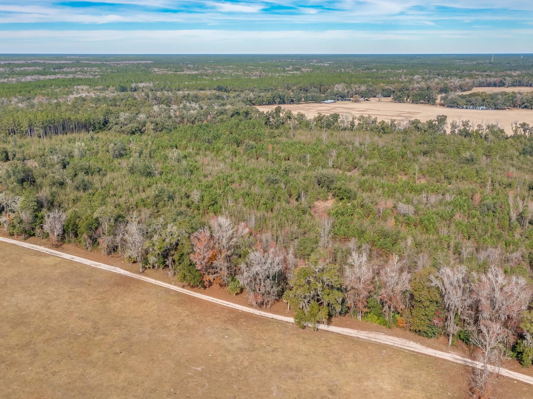 Xxx Roland Harvey Road Crawfordville, FL 32327 - Photo 3 of 22 Gallery Image 3
