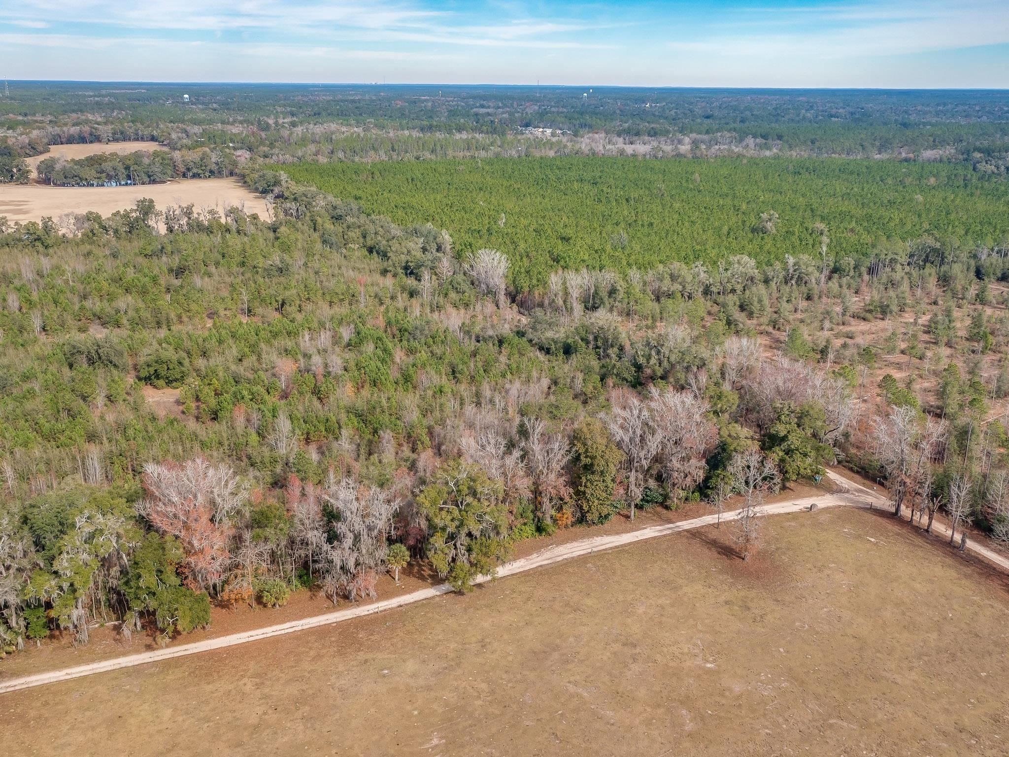 Xxx Roland Harvey Road Crawfordville, FL 32327 - Photo 4 of 22 Gallery Image 4