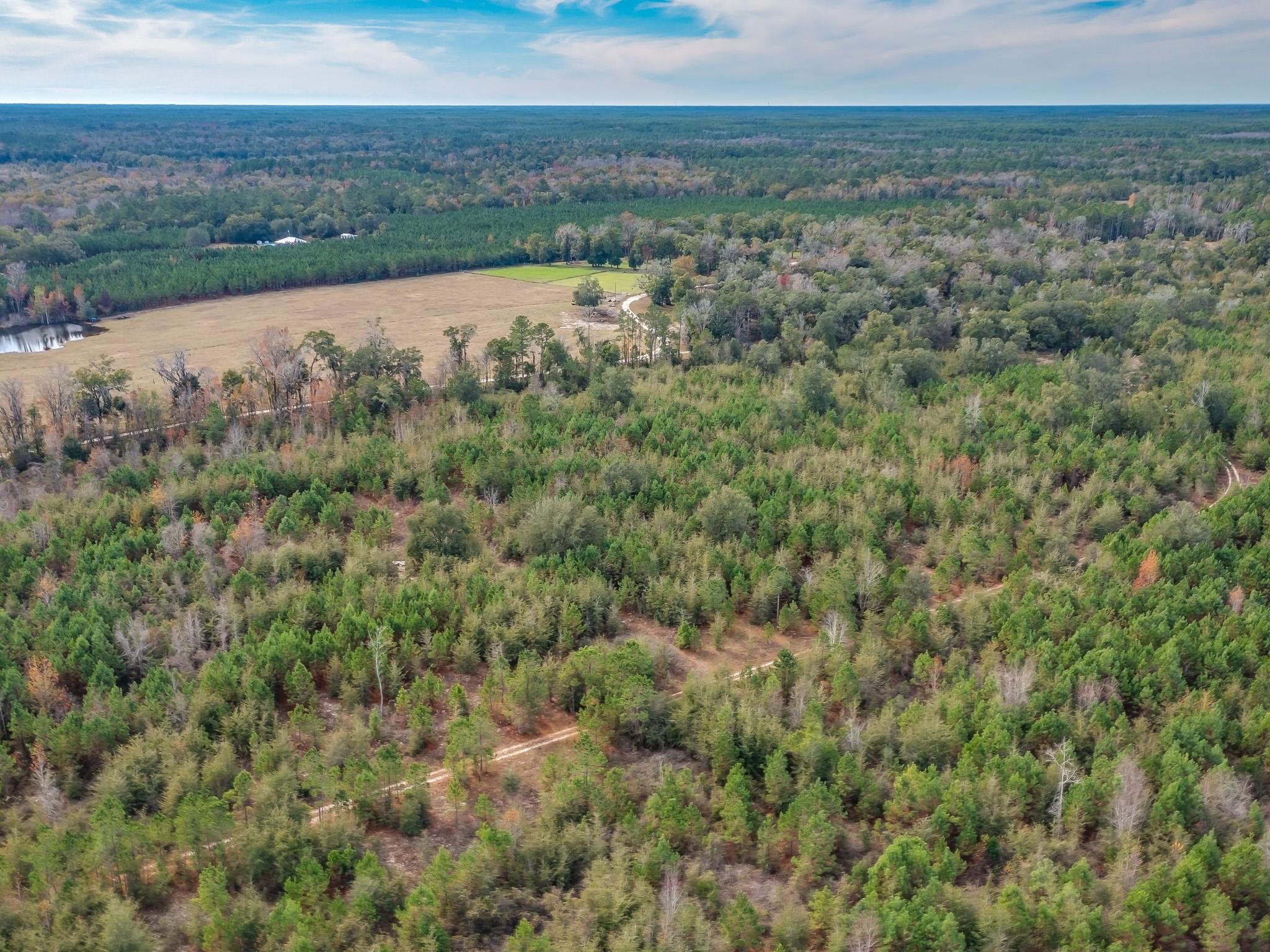 Xxx Roland Harvey Road Crawfordville, FL 32327 - Photo 5 of 22 Gallery Image 5