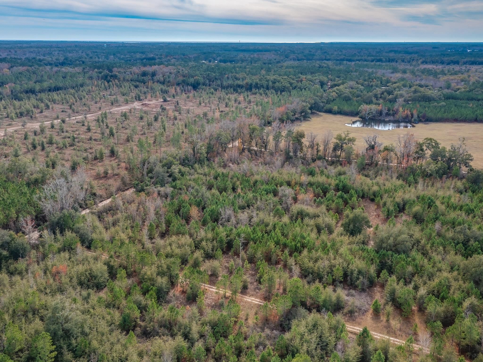 Xxx Roland Harvey Road Crawfordville, FL 32327 - Photo 6 of 22 Gallery Image 6