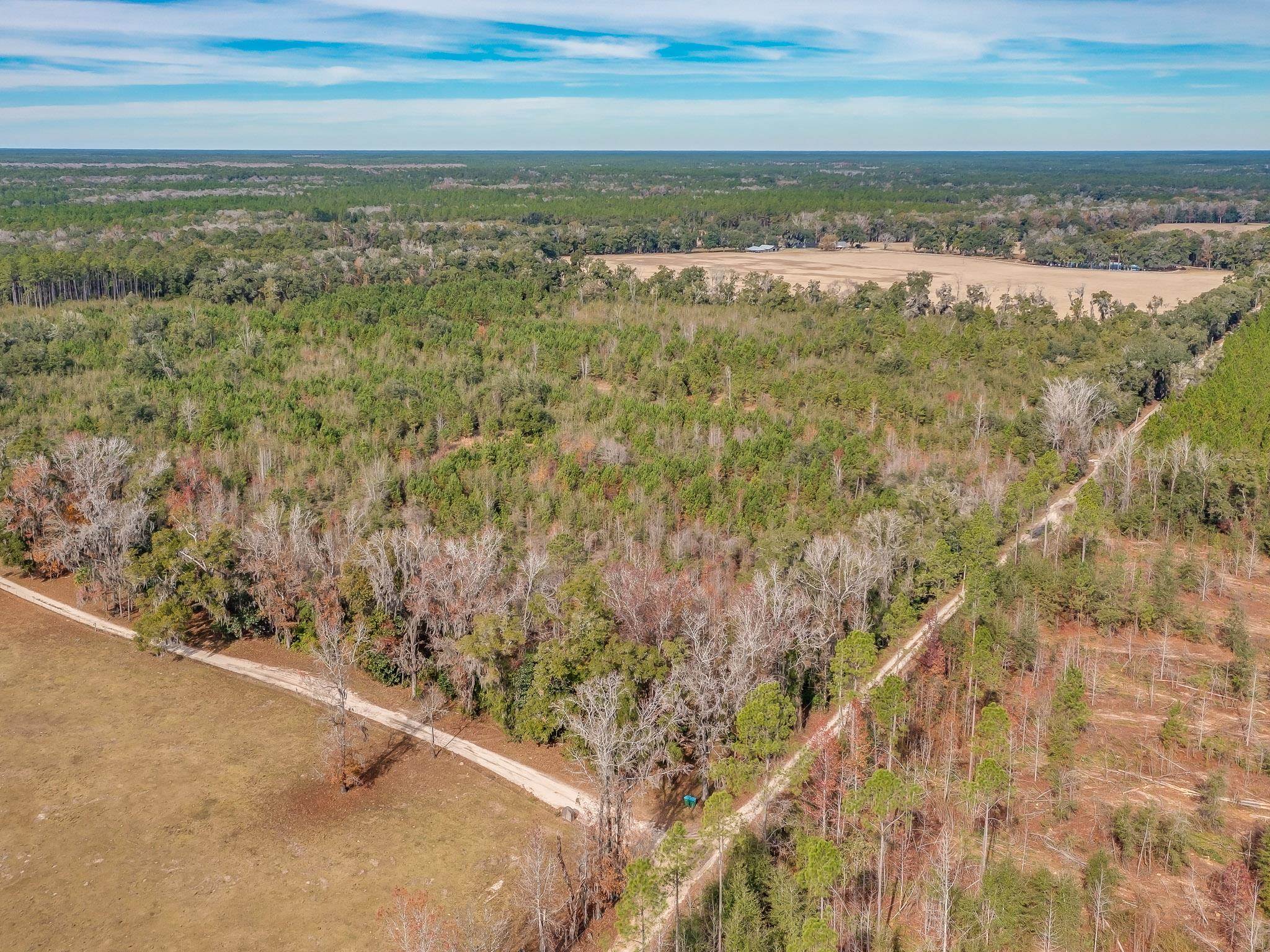 Xxx Roland Harvey Road Crawfordville, FL 32327 - Photo 8 of 22 Gallery Image 8