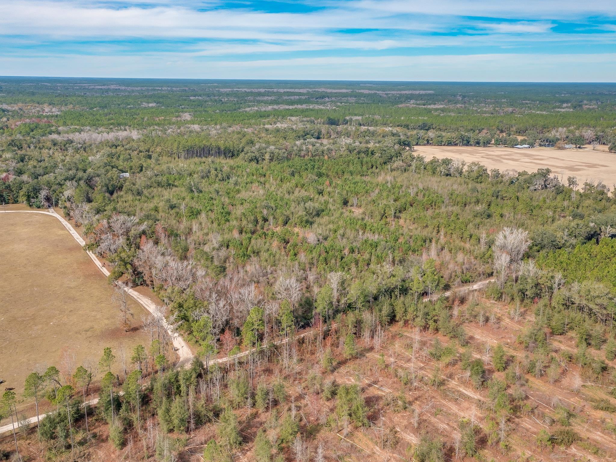 Xxx Roland Harvey Road Crawfordville, FL 32327 - Photo 9 of 22 Gallery Image 9