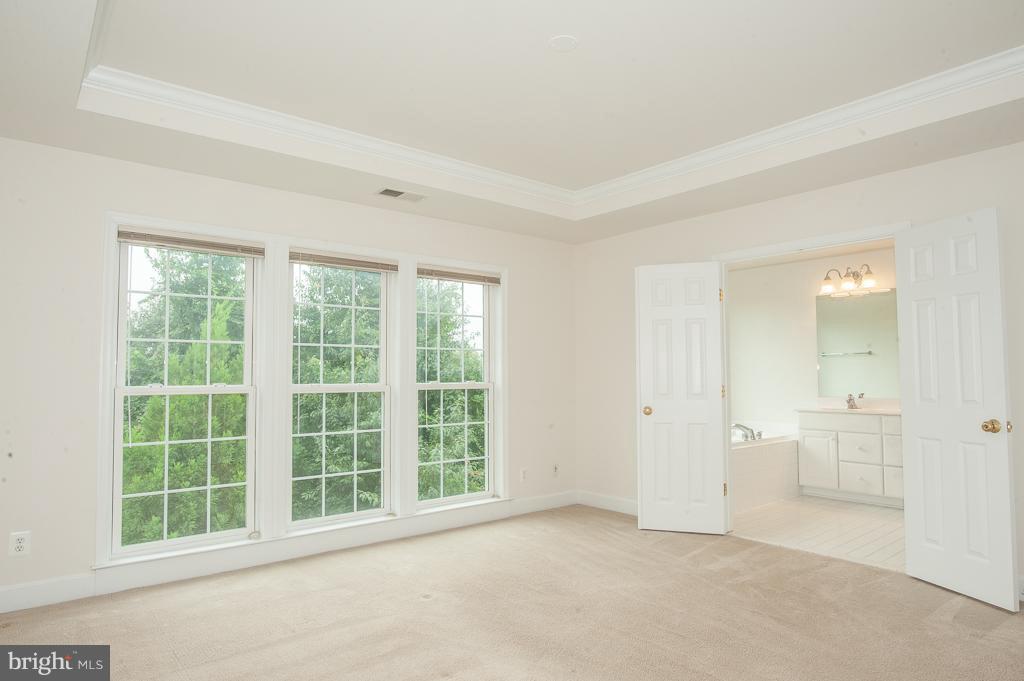9287 Laurel Ridge Crossing Road Lorton, VA 22079 - Photo 16 of 30 Master Bedroom