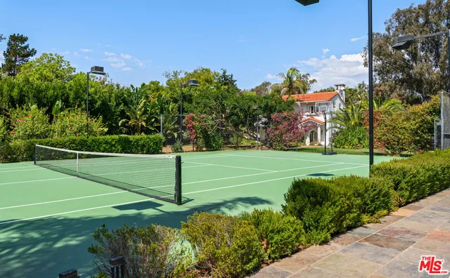 a view of a yard with plants and trees