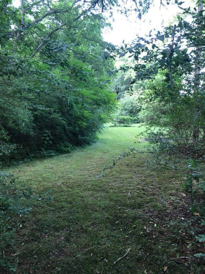 4851 Old Dunlap Road Whitwell, TN 37397 - Photo 9 of 21 ml10