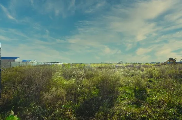 a view of a bunch of trees and bushes