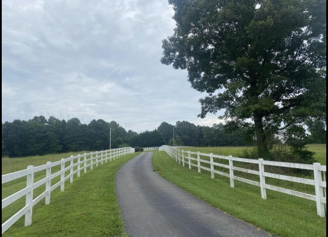 202 County Road 38 Riceville, TN 37370 - Photo 4 of 4 Shared Drive