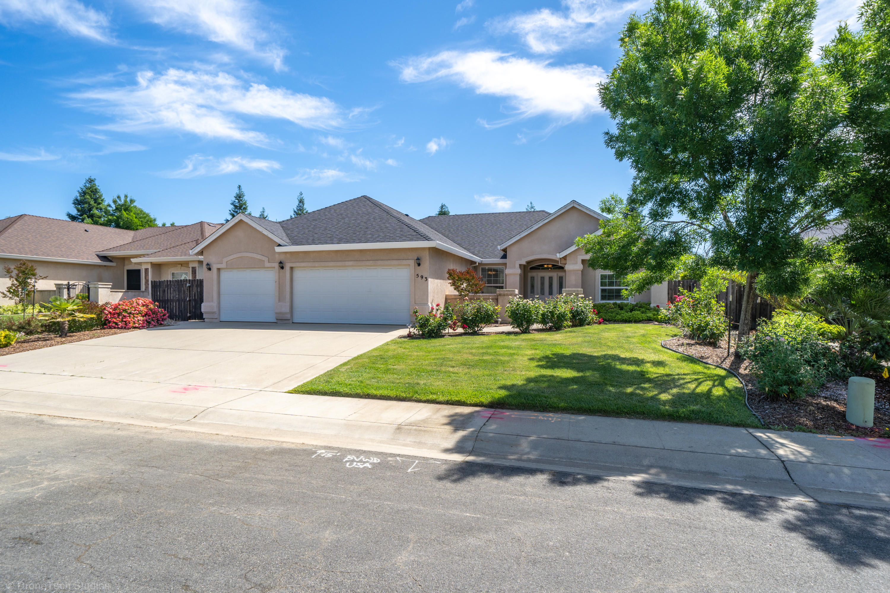 593 Centavo Way Redding, CA 96003 - Photo 2 of 49 593 Centavo Way-1