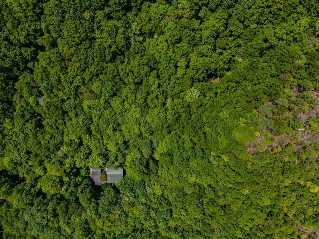 508 Bolden Branch Road Andrews, NC 28901 - Photo 46 of 51