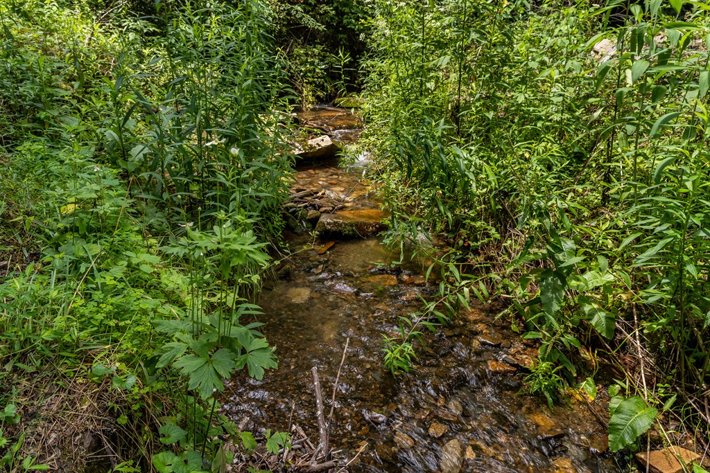 508 Bolden Branch Road Andrews, NC 28901 - Photo 47 of 51