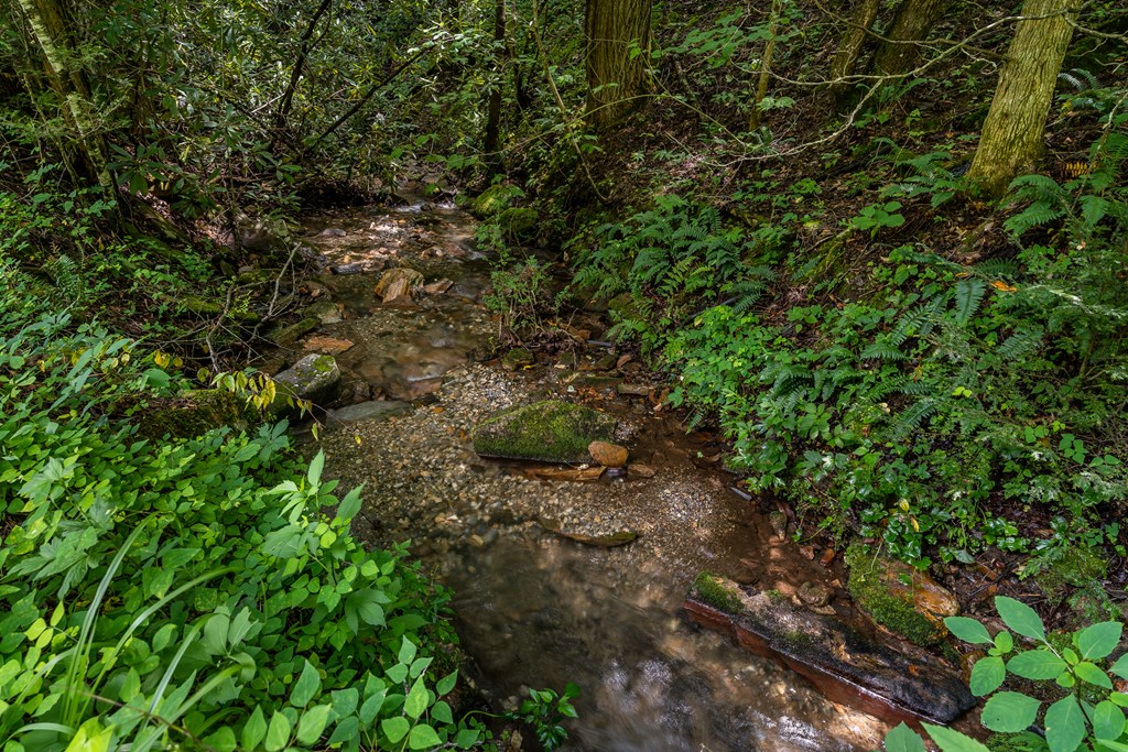 508 Bolden Branch Road Andrews, NC 28901 - Photo 48 of 51