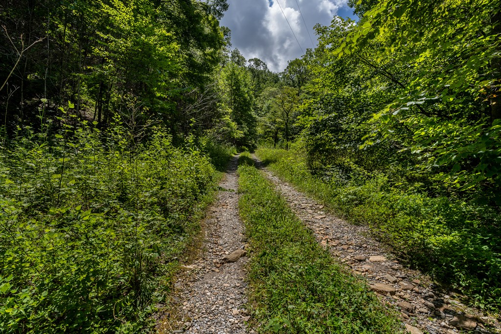 508 Bolden Branch Road Andrews, NC 28901 - Photo 49 of 51