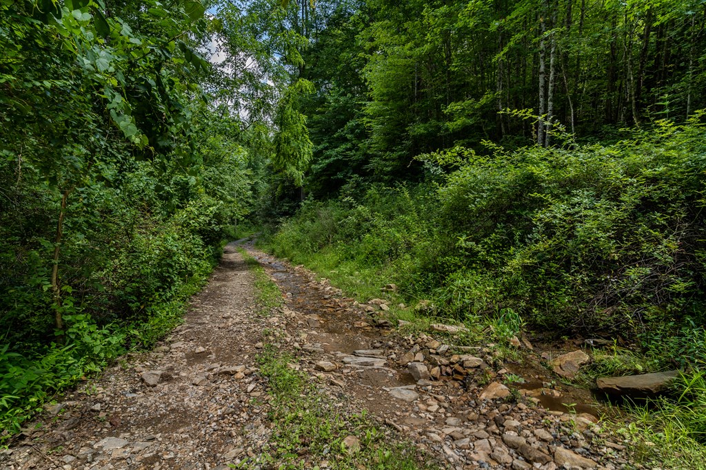 508 Bolden Branch Road Andrews, NC 28901 - Photo 50 of 51
