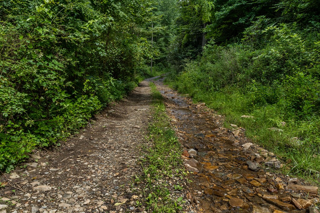 508 Bolden Branch Road Andrews, NC 28901 - Photo 51 of 51