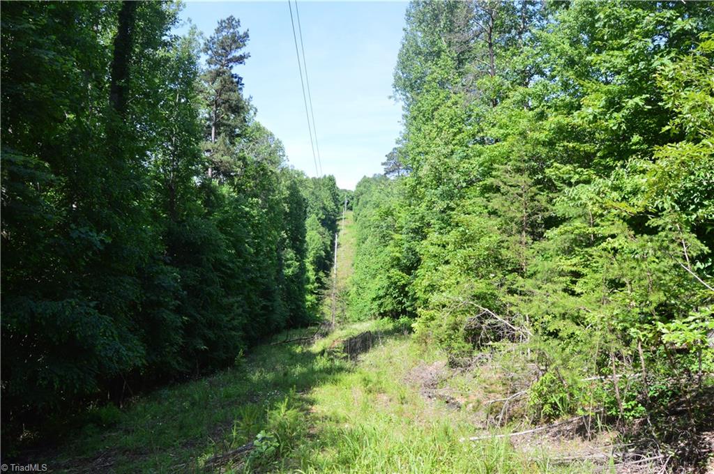 1165 Bob Hennis Road Sandy Ridge, NC 27046 - Photo 19 of 29