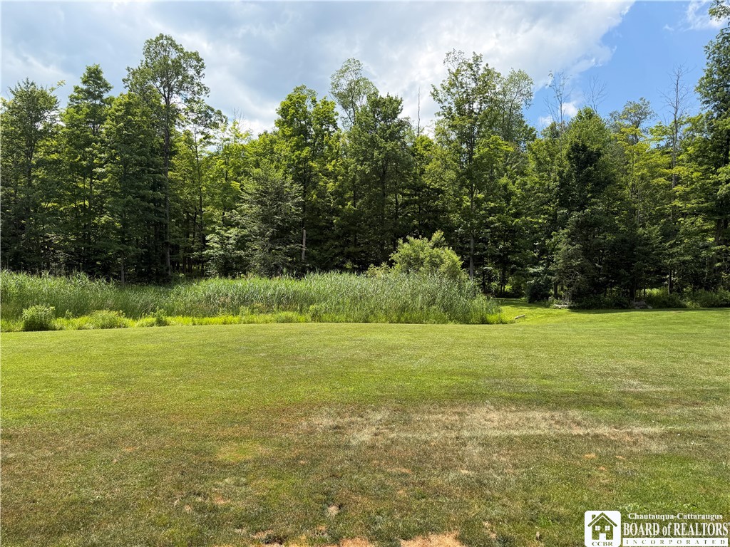 9039 Kidder Road Mina, NY 14781 - Photo 12 of 48 To pond
