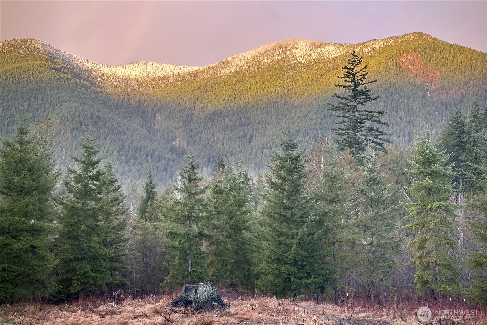 2904 Wildwood Road Quilcene, WA 98376 - Photo 27 of 39 a view of a mountain range with mountains in the background