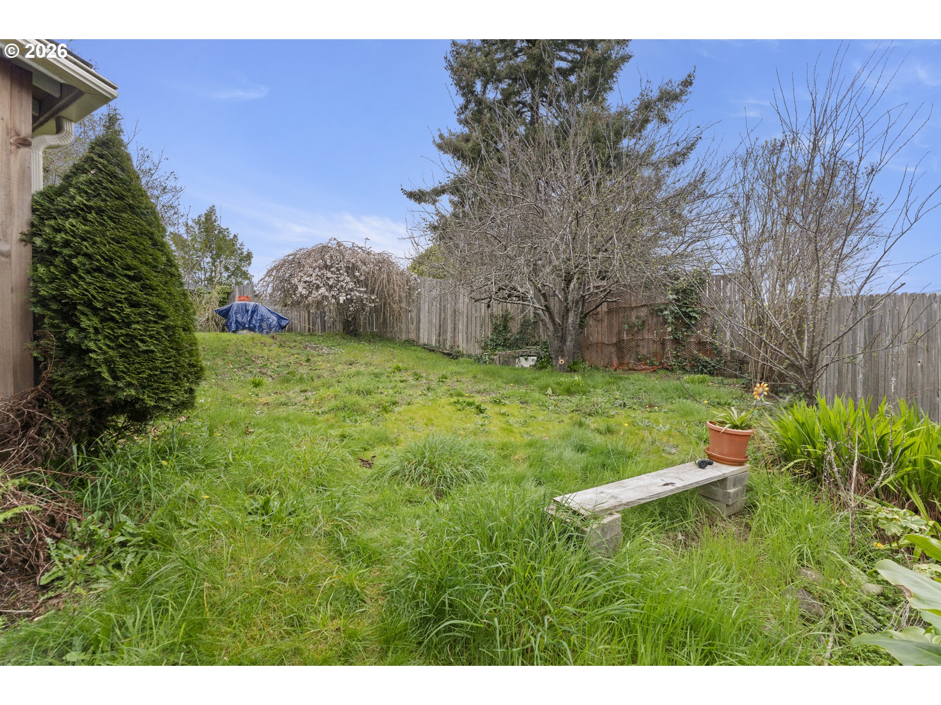 642 Clark Street North Bend, OR 97459 - Photo 26 of 29 a backyard of a house with lots of green space