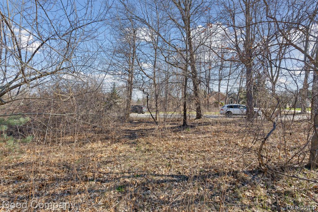 0 Orion Road Lake Orion, MI 48362 - Photo 11 of 13