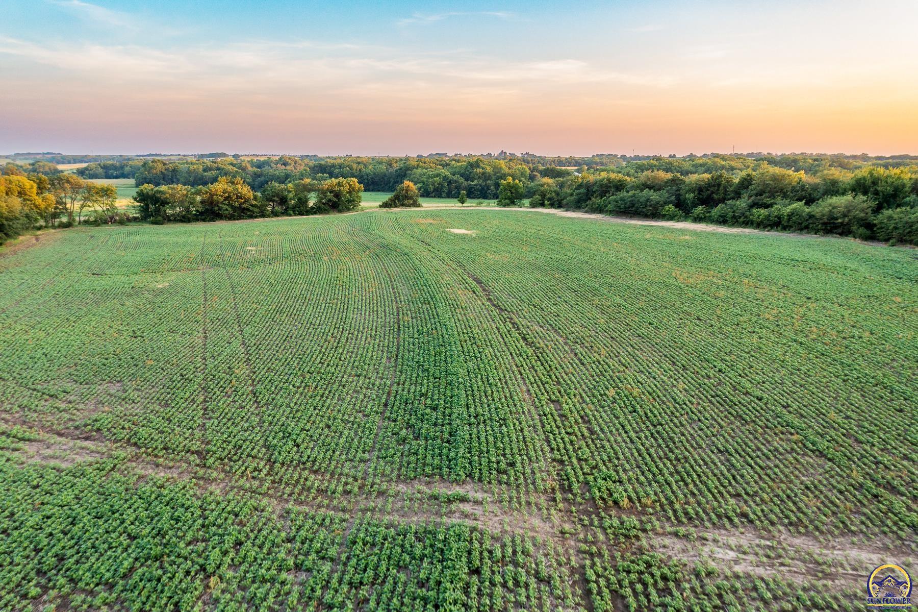 0 Walnut Creek Road Riley, KS 66531 - Photo 12 of 78 Gallery Image 12