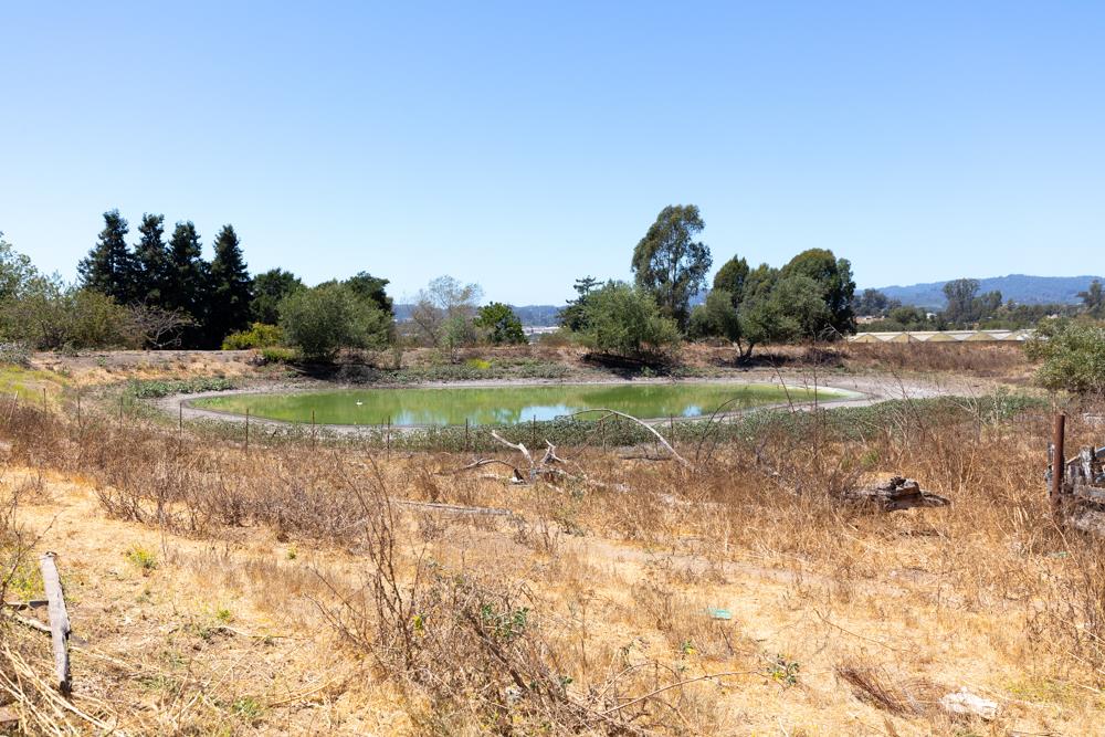 189 Hughes Road Watsonville, CA 95076 - Photo 23 of 35 a view of a field and a yard