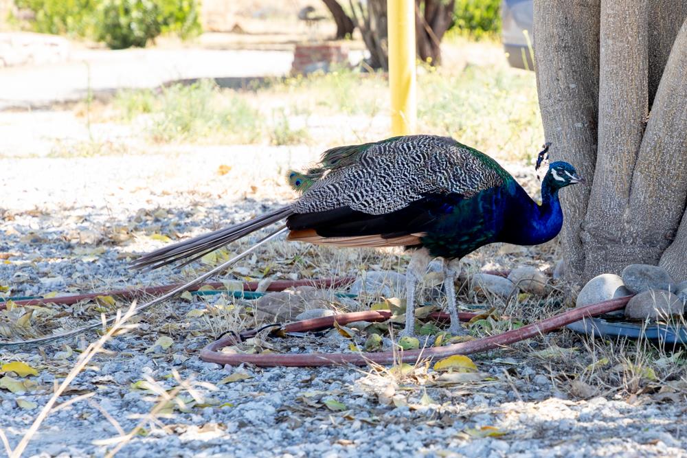 189 Hughes Road Watsonville, CA 95076 - Photo 30 of 35