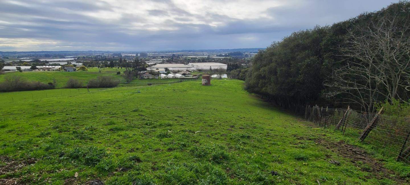 189 Hughes Road Watsonville, CA 95076 - Photo 35 of 35 a view of a grassy field with trees