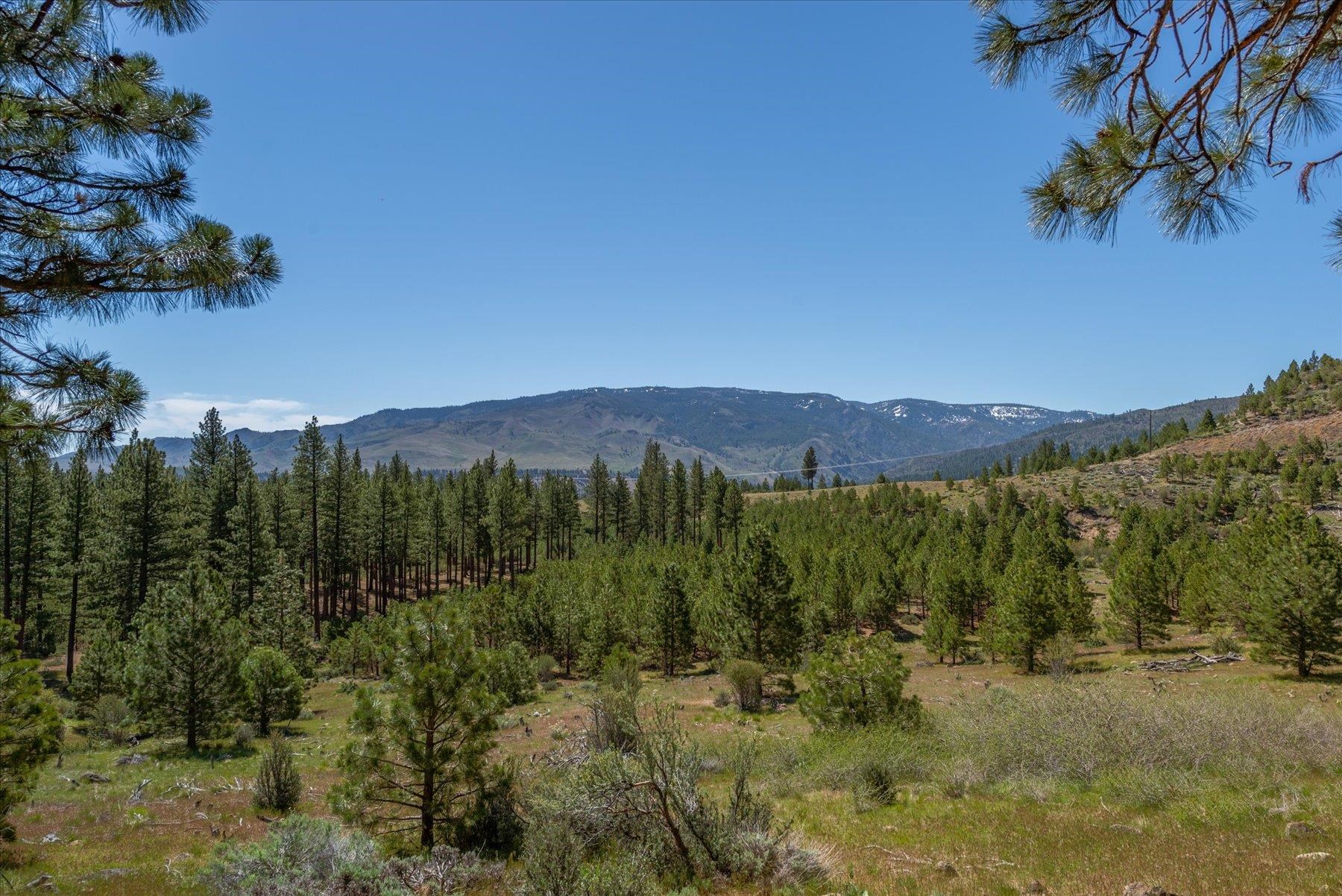 Feenune Road Loyalton, CA 96118 - Photo 15 of 28