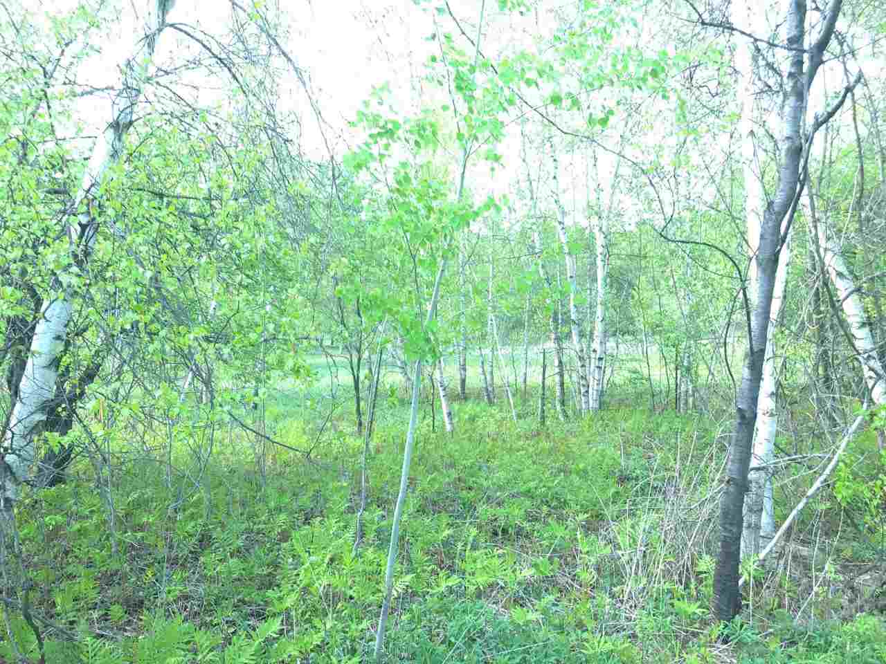 Lot 3-4 Sweet Hollow Road Sheldon, VT 05483 - Photo 7 of 7