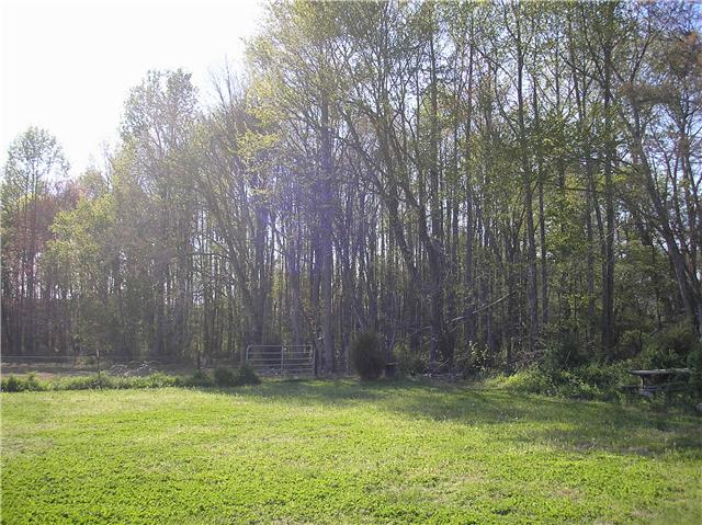 93 Pleasant Valley Road Ethridge, TN 38456 - Photo 11 of 18 land