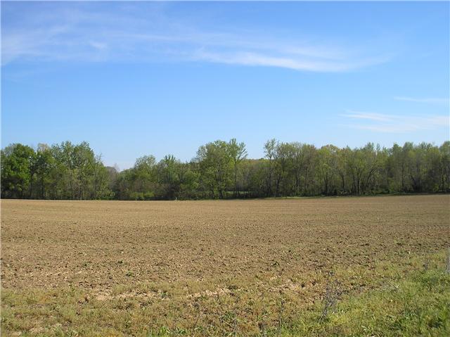 93 Pleasant Valley Road Ethridge, TN 38456 - Photo 12 of 18 land