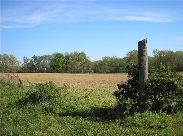 93 Pleasant Valley Road Ethridge, TN 38456 - Photo 14 of 18 Gallery Image 14