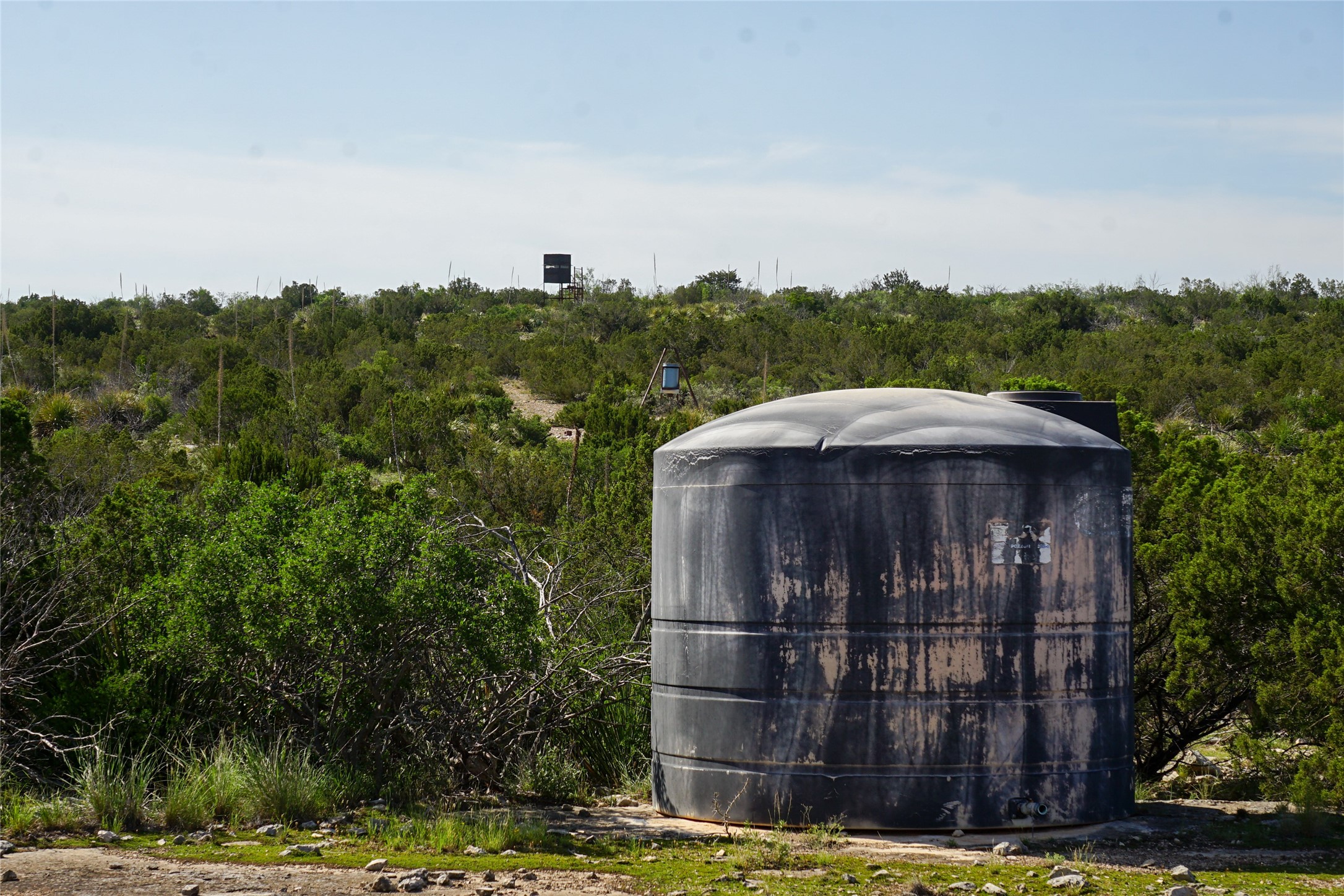 0 Rr 1024 Comstock, TX 78837 - Photo 26 of 50 a view of a back yard
