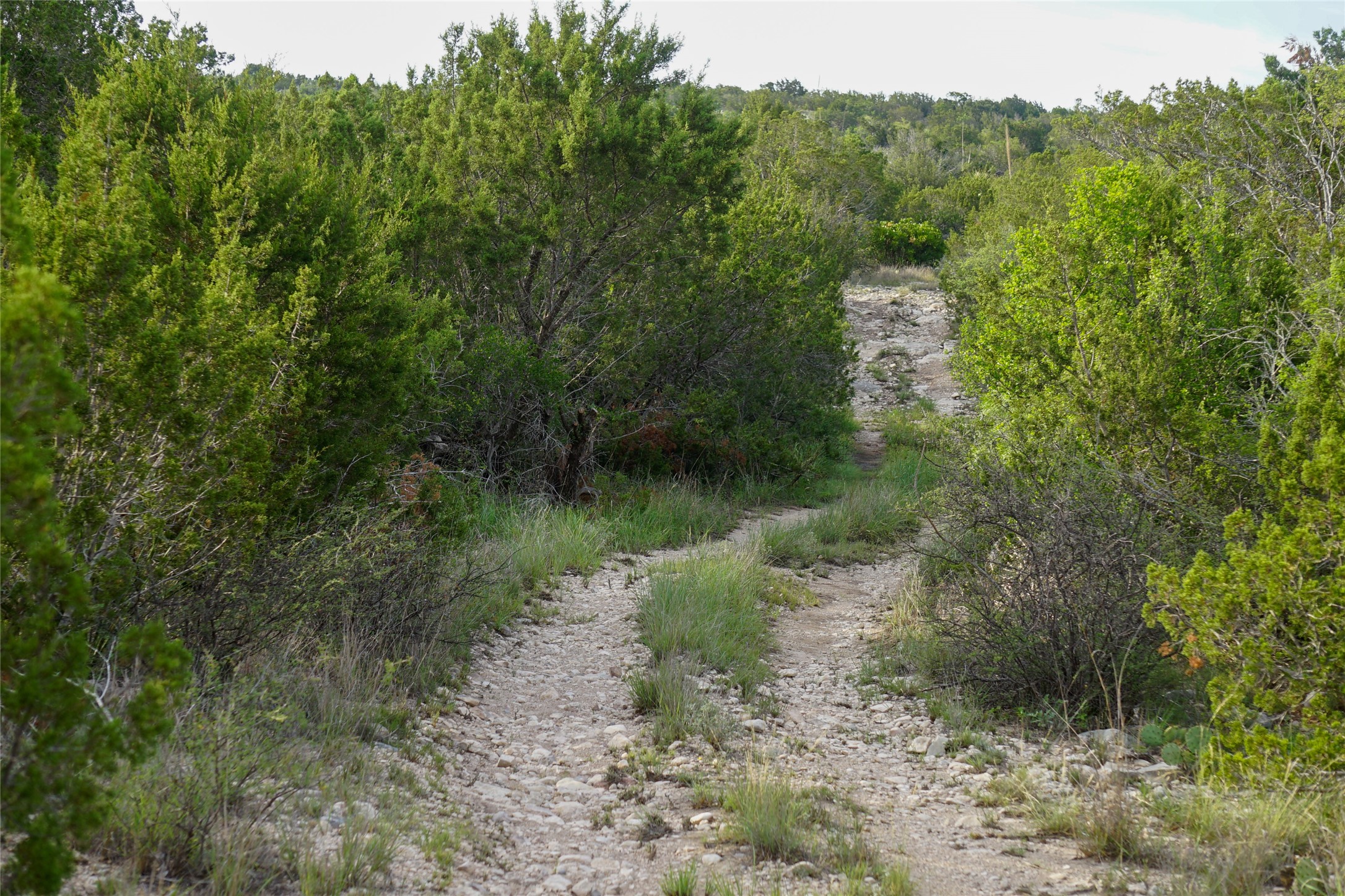 0 Rr 1024 Comstock, TX 78837 - Photo 39 of 50 a view of a lake with a forest