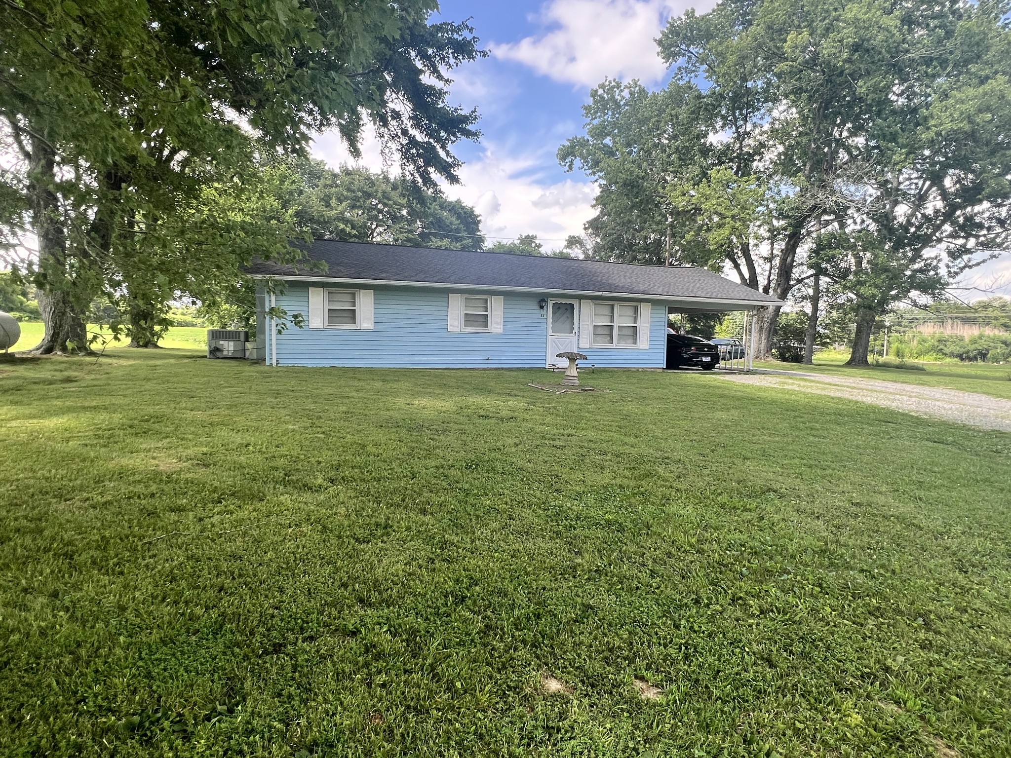 82 Matts Hollow Road Manchester, TN 37355 - Photo 1 of 10 a view of a yard in front of a house with large trees